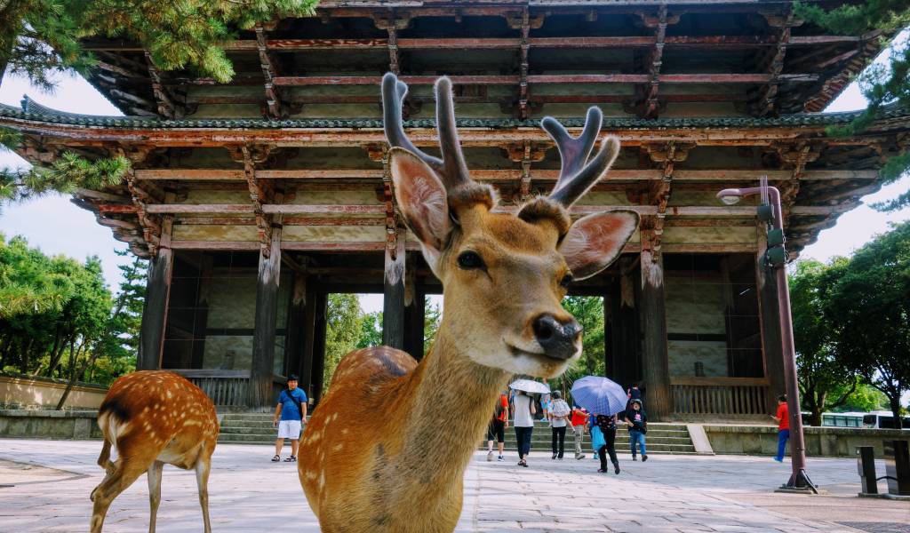 Great South Gate of Todai-ji